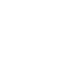 Cairn Terrier