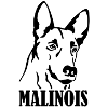 Malinois