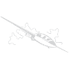 avion