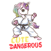 Einhorn Karate