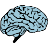 brain design