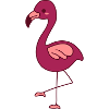 Sweet Flamingo Design
