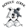 Abenteuerlustiger Border Collie