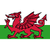 Welsh Flag - Flag of Wales