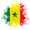 senegal flag design