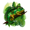 Chameleon Jungle Animal Cool Lizard Tropical Gift