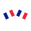 Frankrig Franske krydsede flag Flag