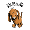 Drolliger Dachshund - Dackel - Teckel