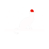 Christmas Cat