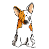 Lustiger Welsh Corgi