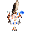 falcon dream mystic dream catcher