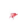 wine lovers