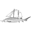 Sailfish (b)