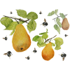 Pears and bumblebees