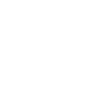 greyhound