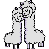 Llama Love