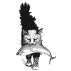 Shark-Cat