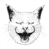 LOL Cat