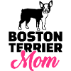 Boston Terrier