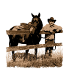 Horse cowboy fence