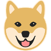 Shiba Inu