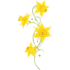 Filigree Daffodils Flowers. Spring, Easter.