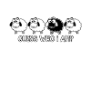 black sheep humor