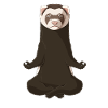 Furets