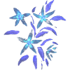 Blumen - Malve - Blüten