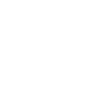 Dachshund Dachshund