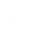 Deer head