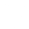 reindeer
