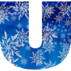 blue winter u