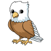 BD Adler Eagle