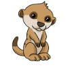 Cartoon meerkat meerkat