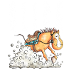 Westernpferd Slide