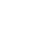 SKI