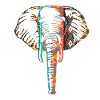 Africa Elephant Head front