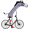 Esel fährt Fahrrad