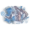 Body art bodybuilding