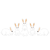 5 white rabbits
