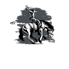 Western riding