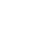 aphid