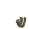Faultier
