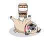 Pug and coffee live