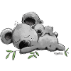 Koala mit Baby