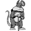 Rat vieux de mauvaise humeur