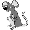 Rat mal drôle cool