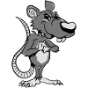 Rat nasty in common