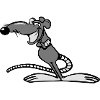 rat funny cool